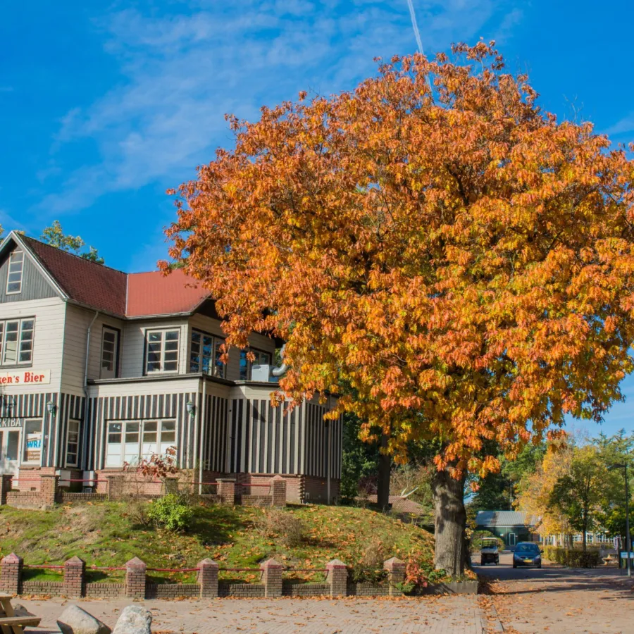 Herbstferien Bugalowpark Veluwe Samoza 1