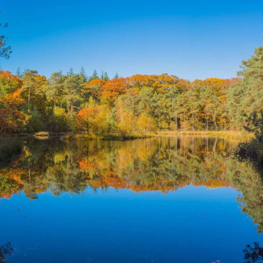 Herbstferien Bugalowpark Veluwe Samoza 5