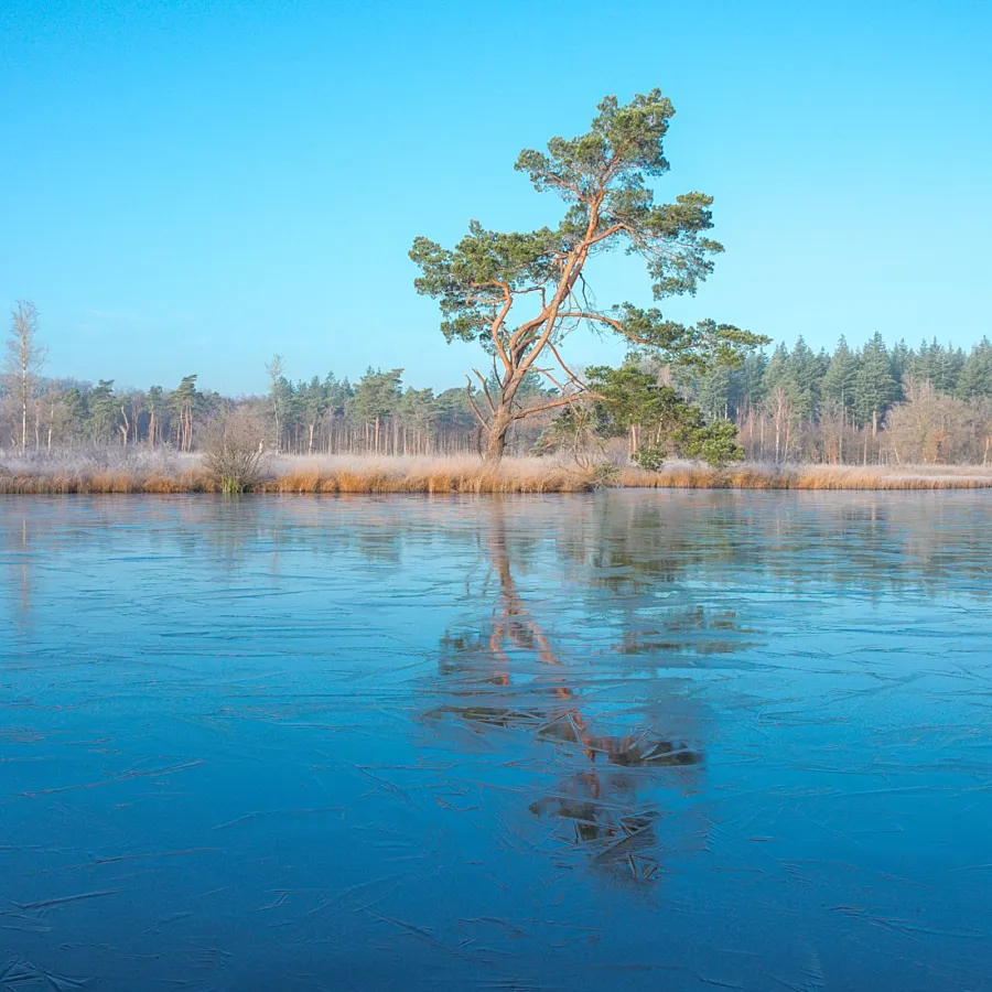 Weihnachtsferien Veluwe Bungalowpark Samoza 4