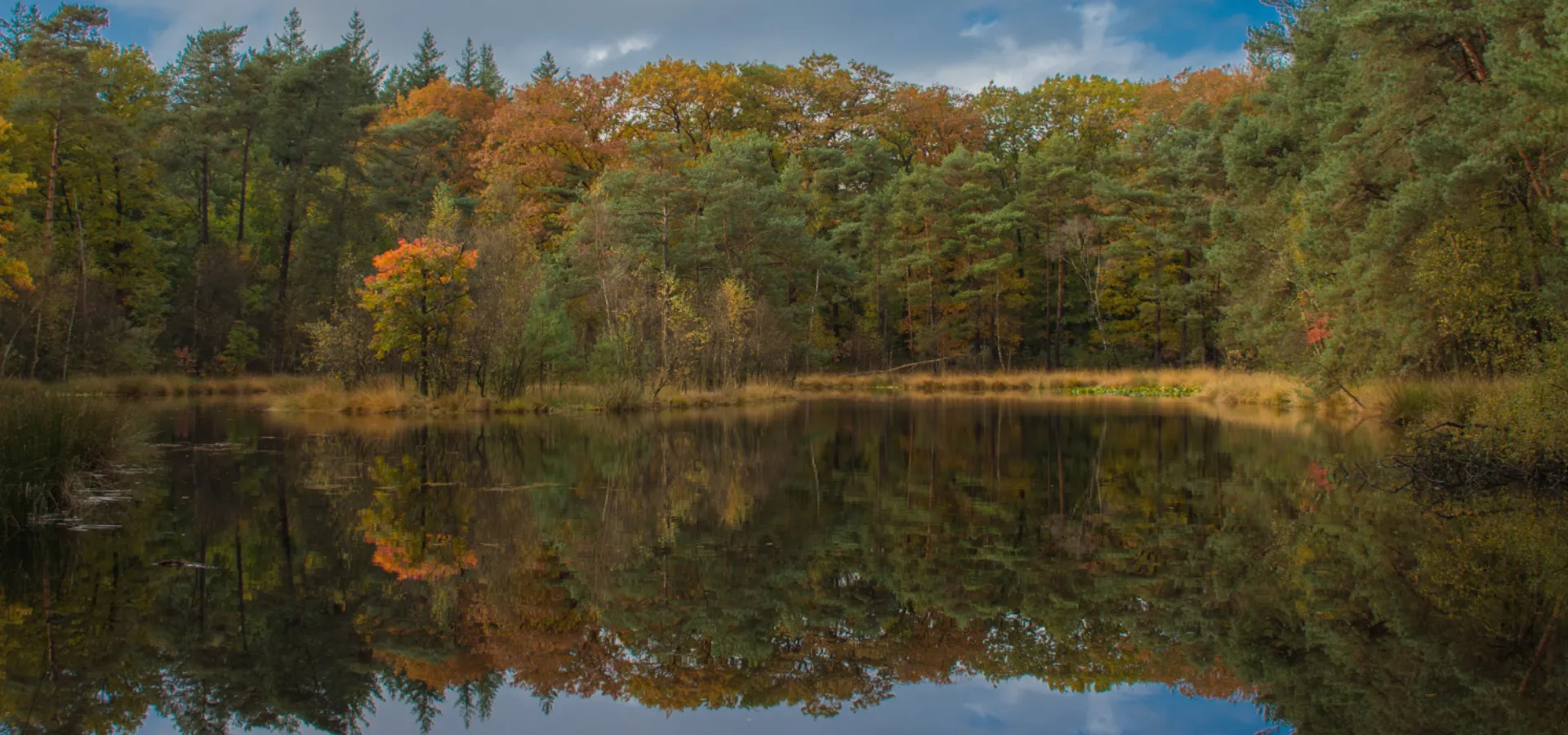 Titelbild der Website Herbstferien