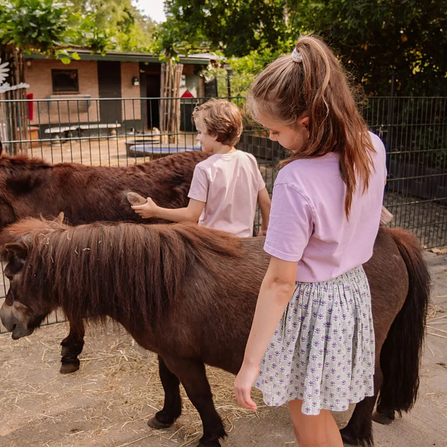 Camping Vierhouten Dierenhoeve 59