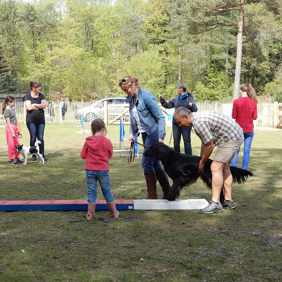 Camping Veluwe mit Hund 12