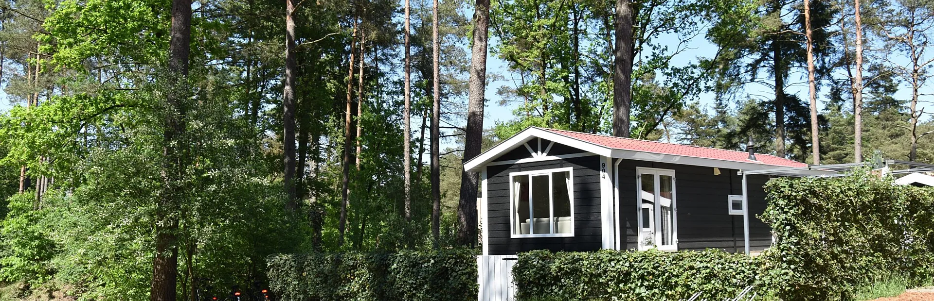 Chalet auf der Veluwe 5 kaufen