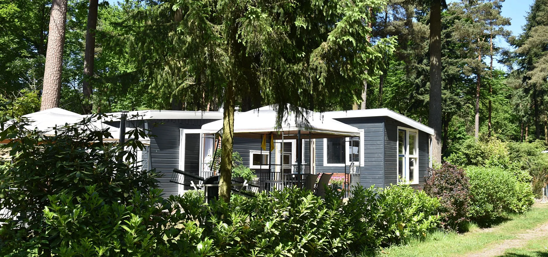 Chalet auf der Veluwe 1 kaufen