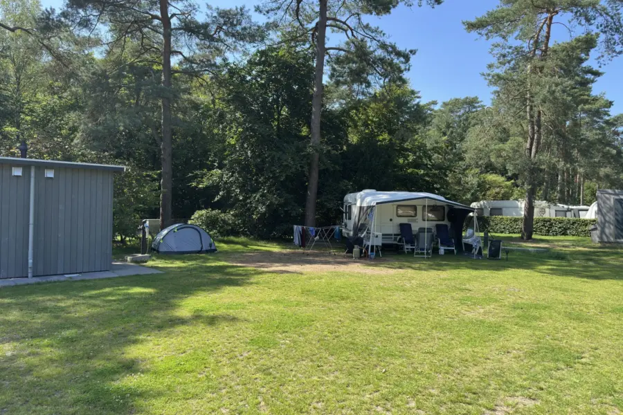 Camping Veluwe mit privaten Sanitäranlagen Buizerd 6