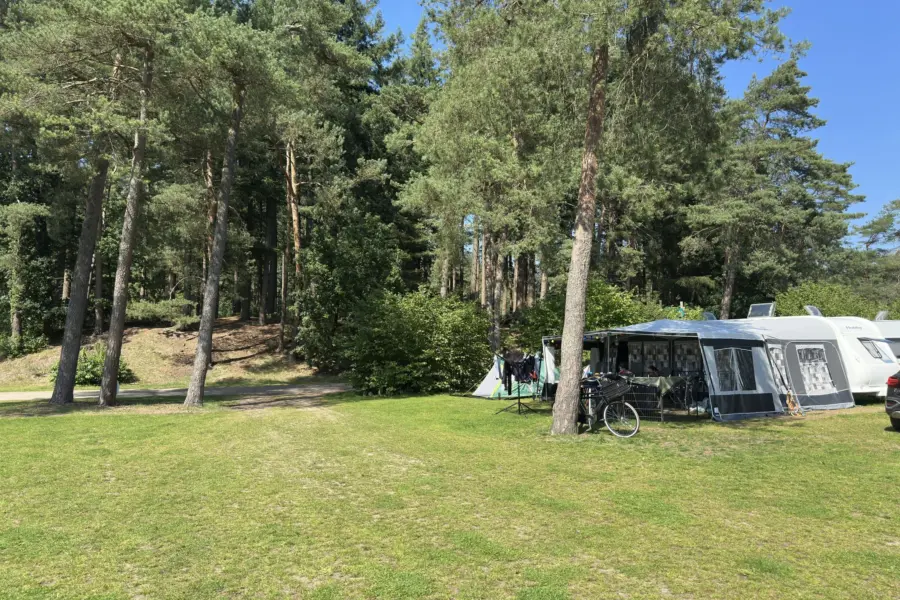 Camping Veluwe mit privaten Sanitäranlagen Buizerd 12