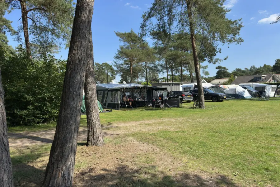 Camping Veluwe mit privaten Sanitäranlagen Buizerd 16