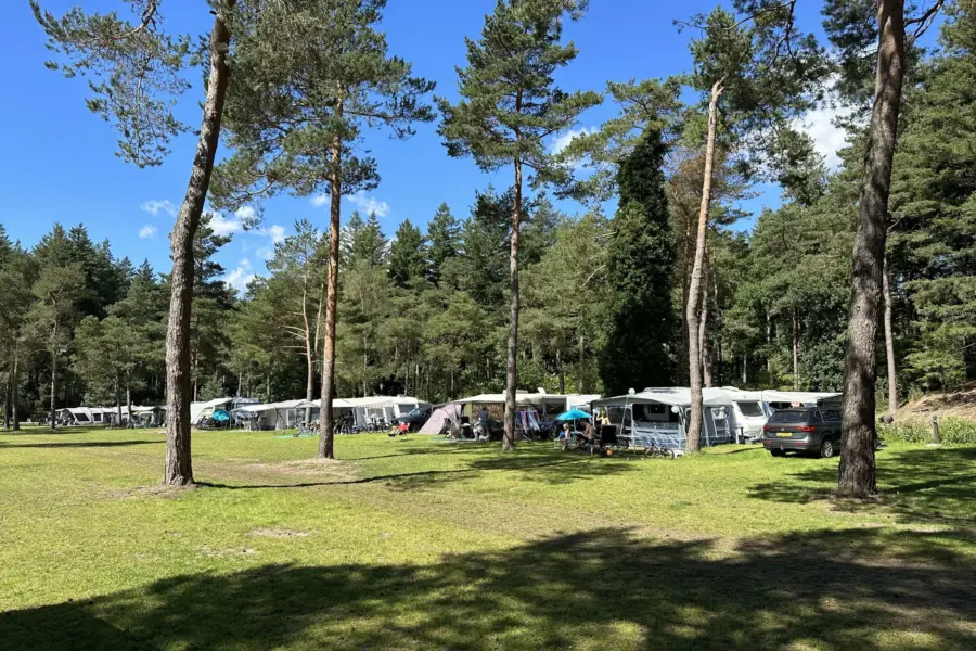 Camping Veluwe XXL Elster 3