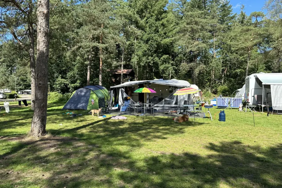 Campingplatz Veluwe camping XXL Elster 33