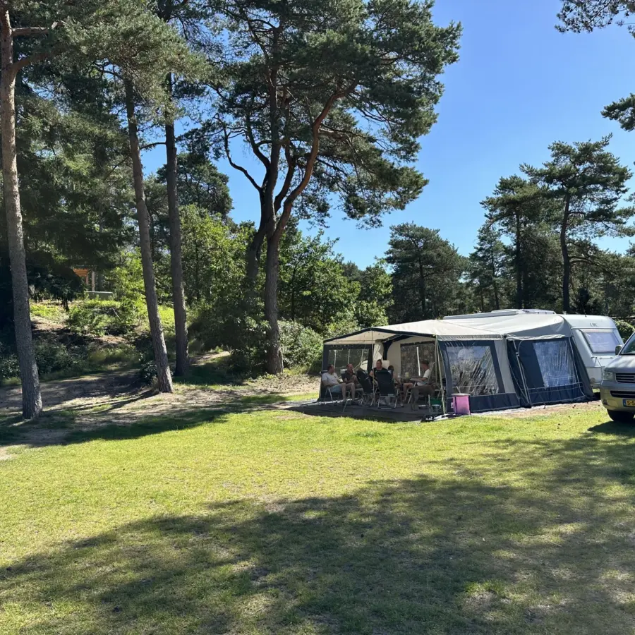 Camping Veluwe XXL Ekster 71