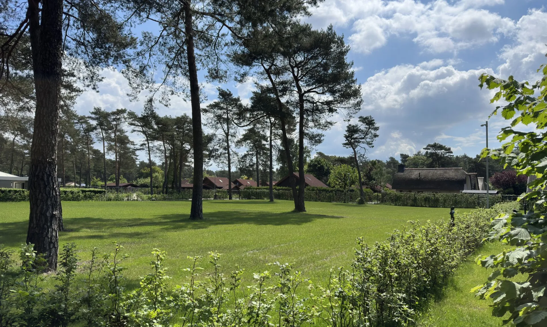 Camping veluwe Buizerd 8