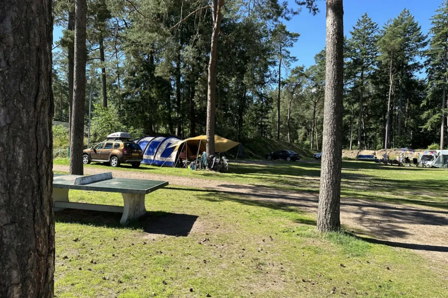 Camping Veluwe Campingplatz Lark 11