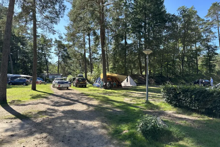 Camping Veluwe Campingplatz Lark 12