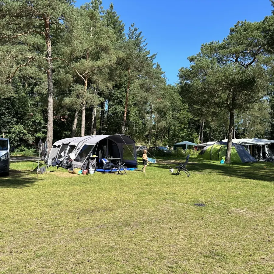 Camping Veluwe XXL Elster 44