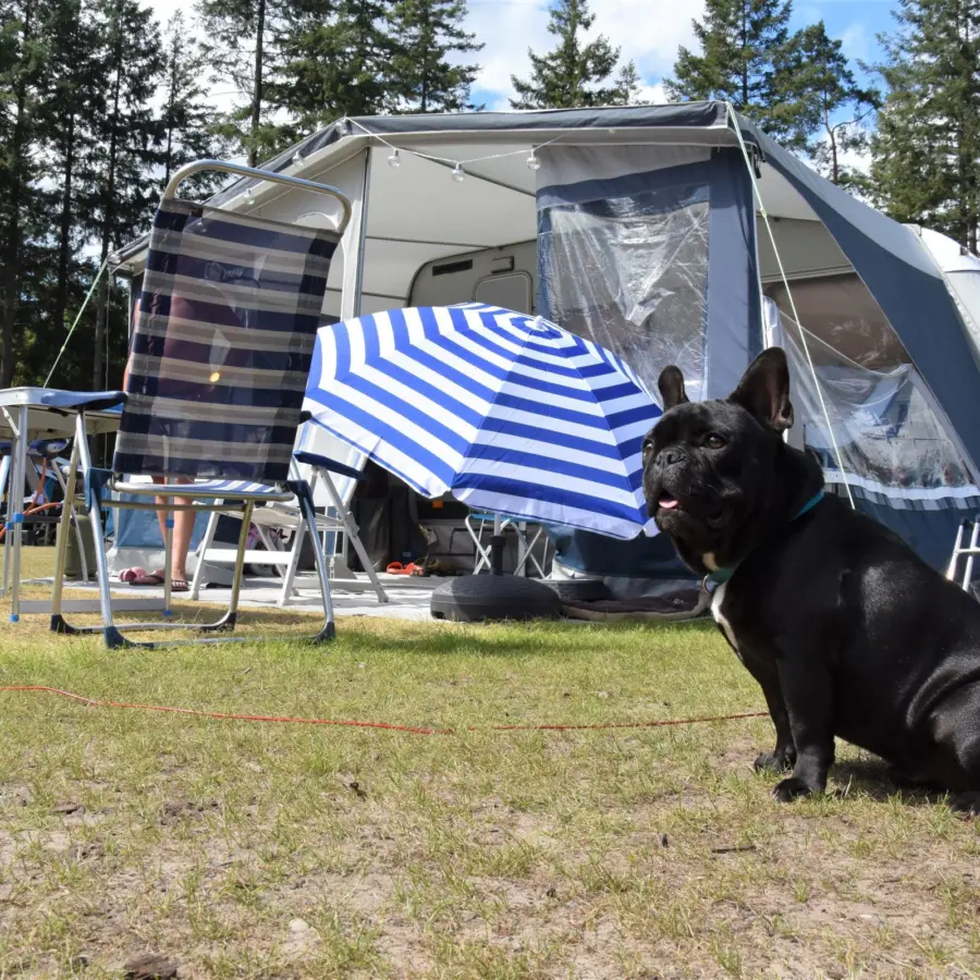 Camping Vierhouten Stellplatz mit eigener Sanitäreinheit Wouw 14