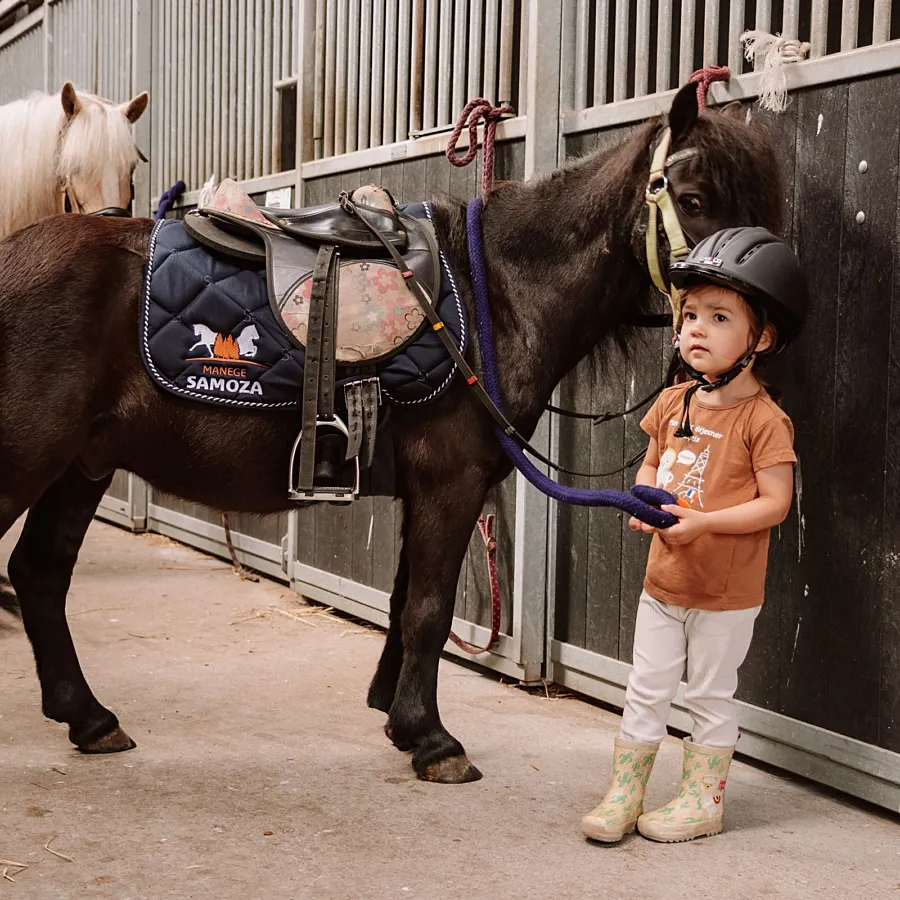 Campingplatz mit Reitschule Samoza 10