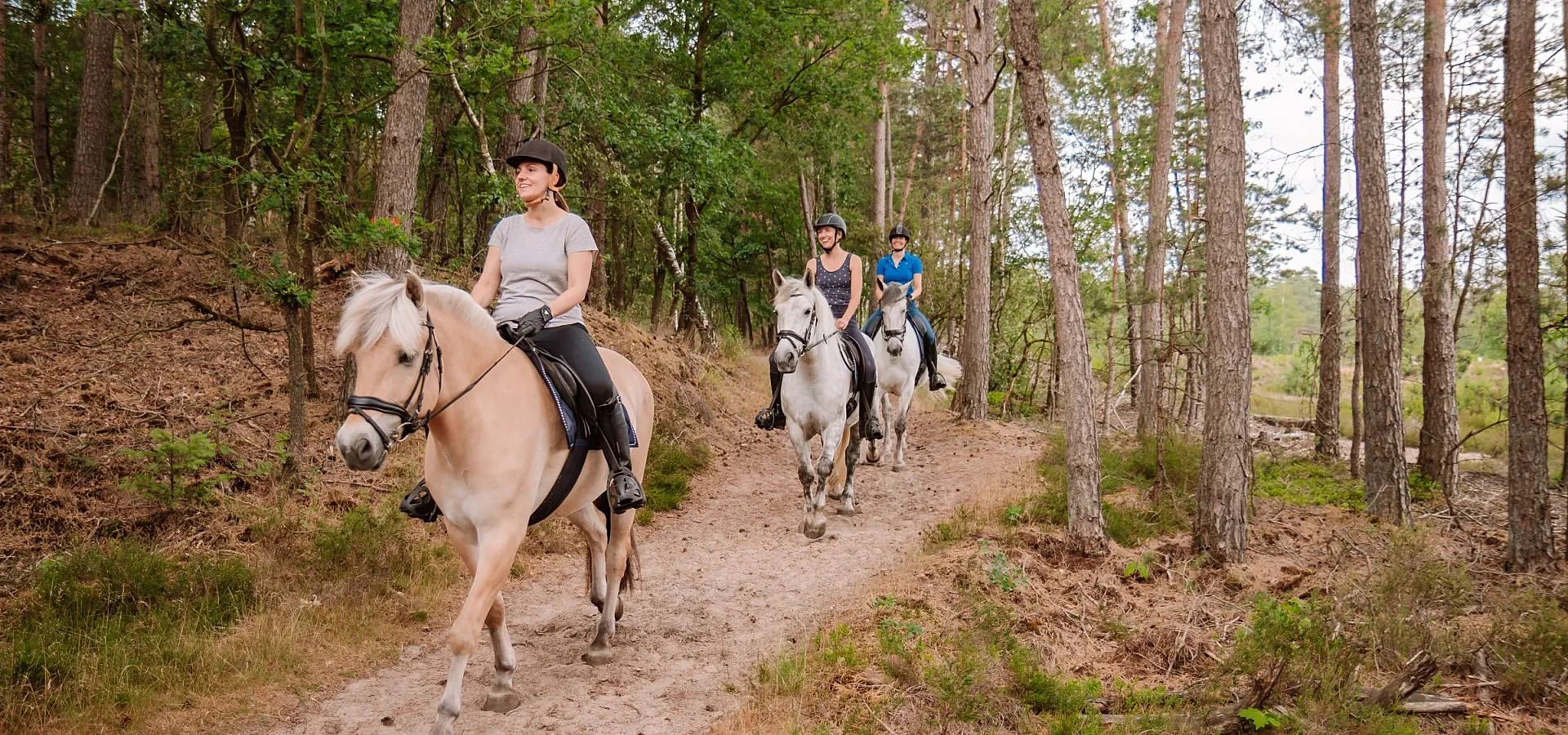 Campingplatz mit Reitschule und Internat 12