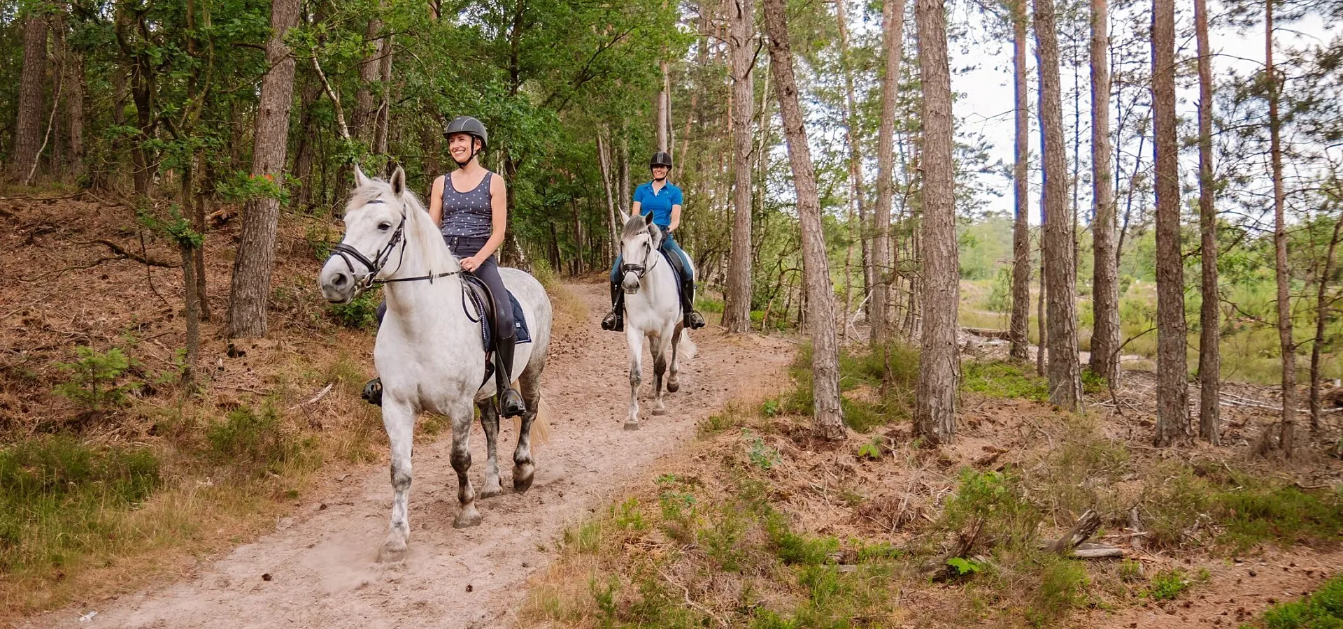 Campingplatz mit Reitschule und Internat 13