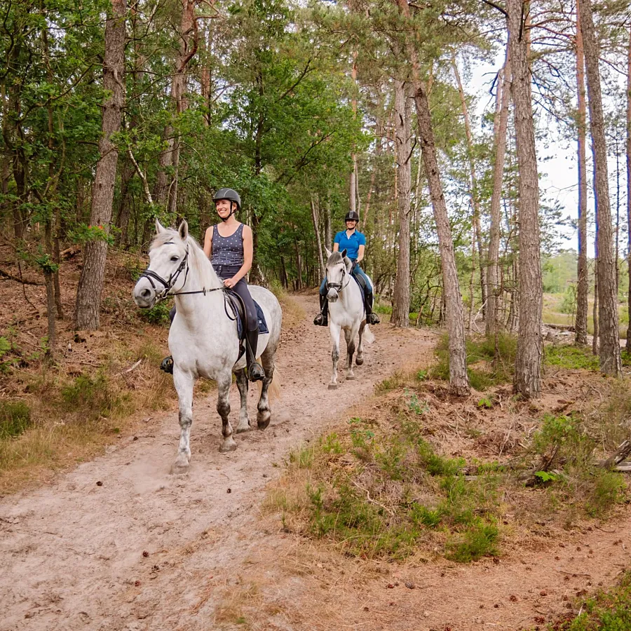 Campingplatz mit Reitschule und Internat 13