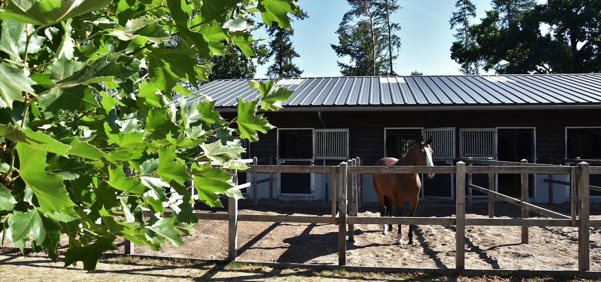 Urlaub mit Pferd Veluwe Samoza 27