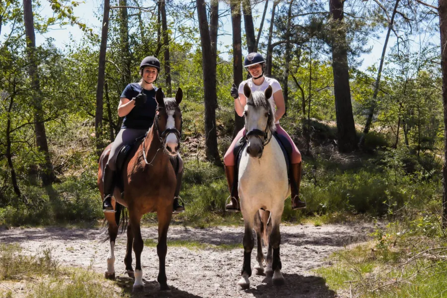 Urlaub mit Pferd Veluwe Samoza 6