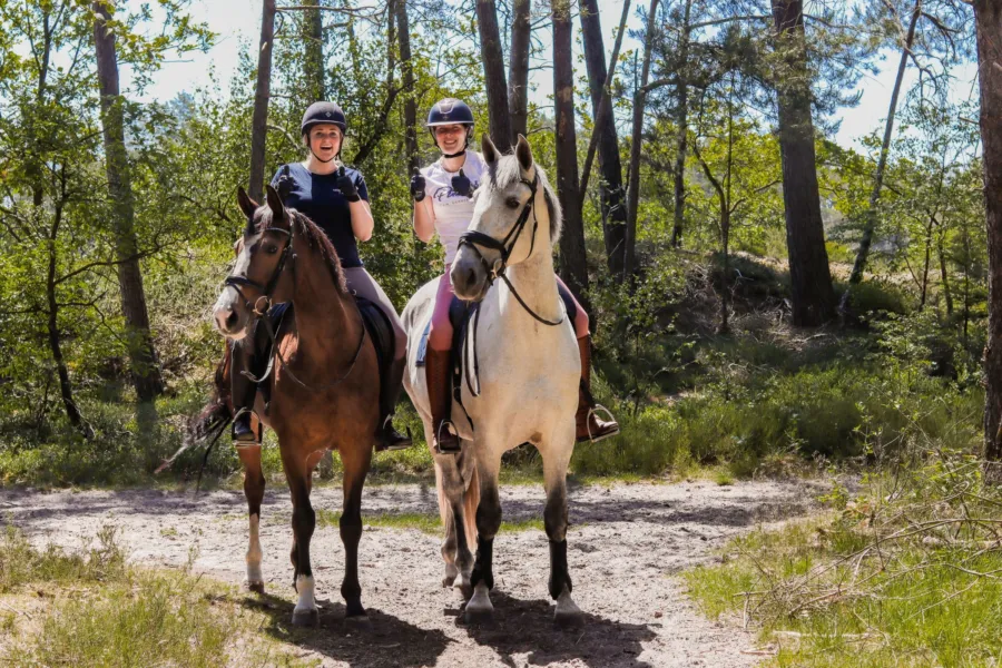 Vakantie met paard Veluwe Samoza 9