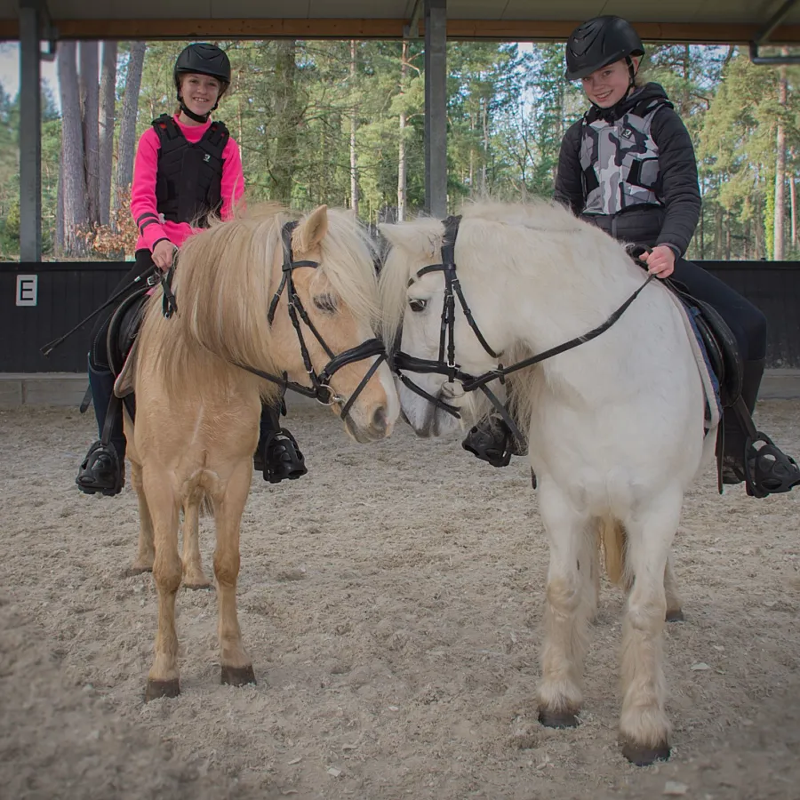 Urlaub mit Pferd Veluwe Samoza 3