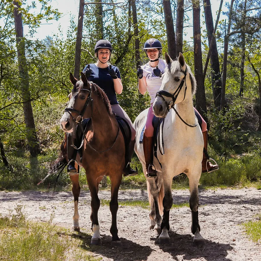 Urlaub mit Pferd Veluwe Samoza 9