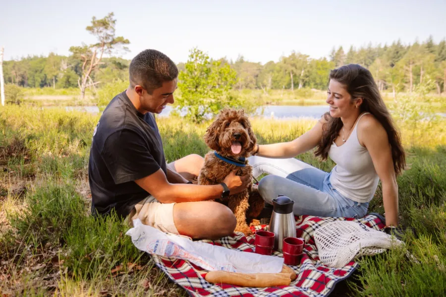 Camping Veluwe Samoza 15