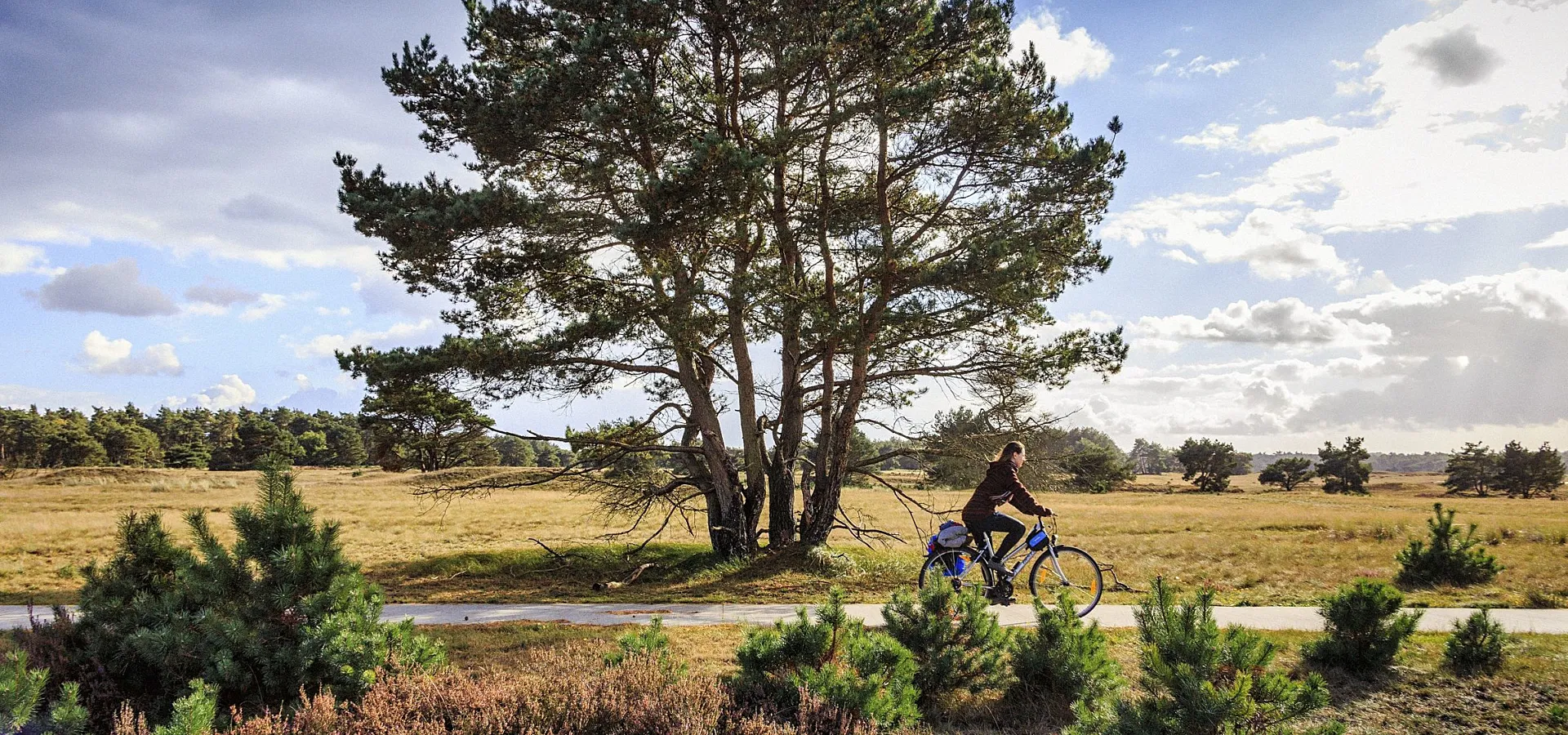 Campingplatz Veluwe area 3