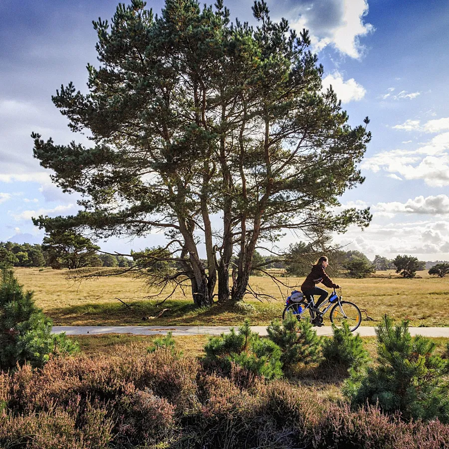 Campingplatz Veluwe area 3