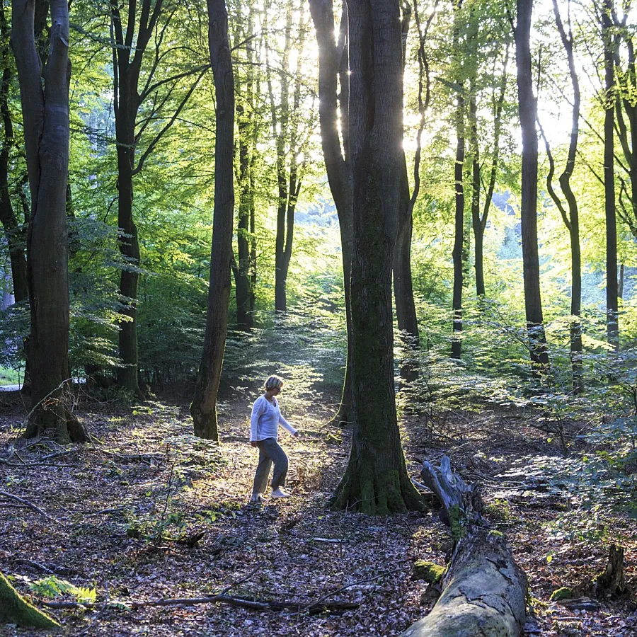 Campingplatz Veluwe area 10