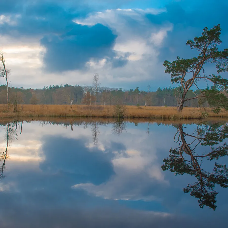 Campingplatz Veluwe Gebiet 1