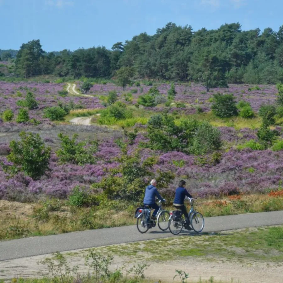 Schöne Fahrradrouten Veluwe 8 1