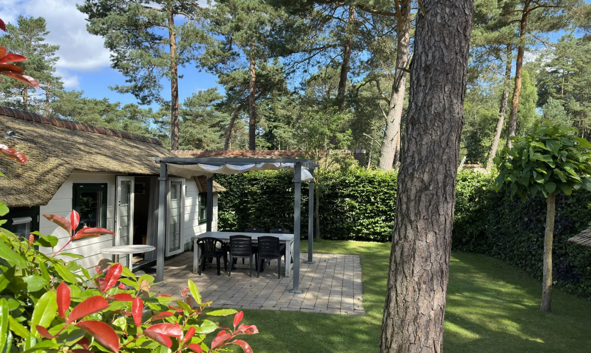 Bungalowpark Veluwe Chalet 107 5