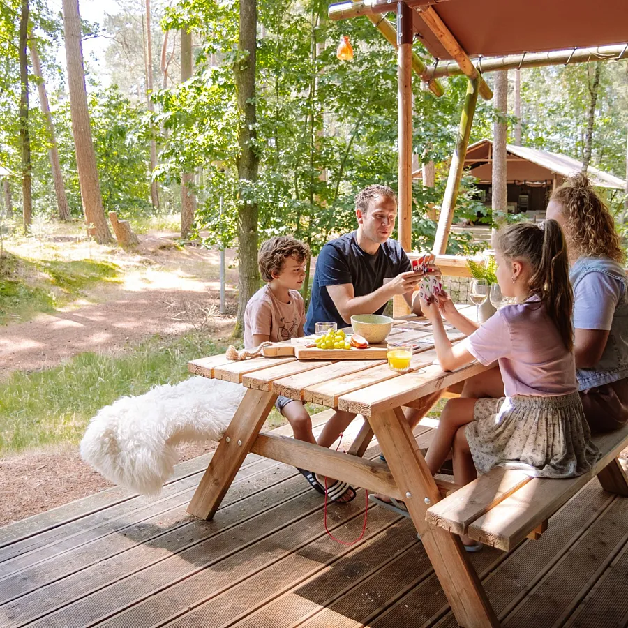 Glamping Veluwe 6