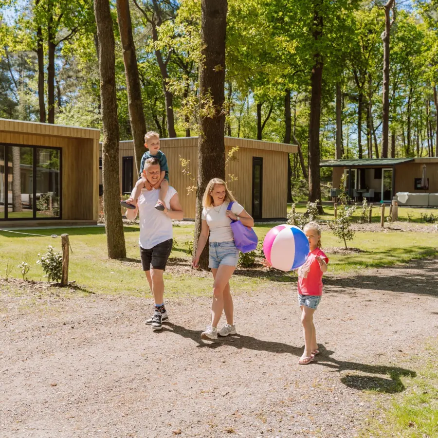 Chaletvermietung Veluwe 76 1